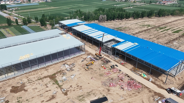 廠(chǎng)房鋼結(jié)構(gòu)網(wǎng)架